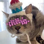 カキ氷.ニット帽.猫.被り物.コスプレ.毛糸.ハンドメイド