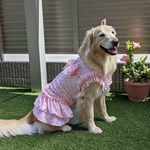 🛒PEKOりん🌟リピーター様限定オーダー