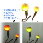 冬虫夏草の夜光ランプ