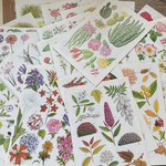 ミニ図鑑切り離し10枚セット