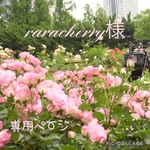 raracherry様専用ページ