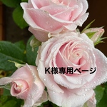 ❤️K 様専用ページ