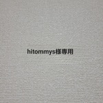 hitommys様専用羊毛フェルト ストラップセット