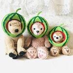 犬用❤︎顔出しシリーズ❤︎小玉スイカちゃん