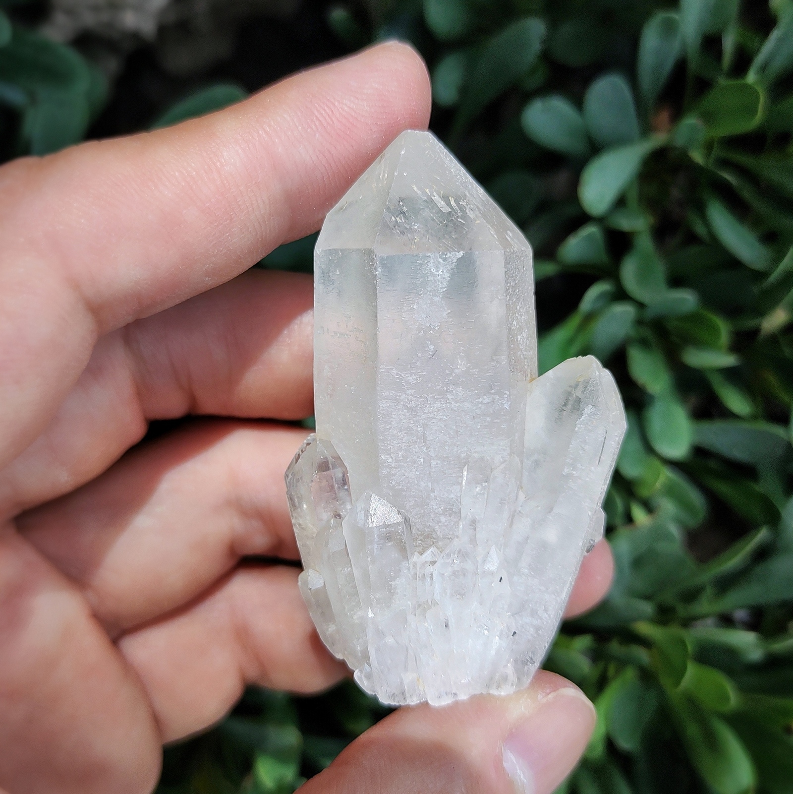 クンダリーニクォーツ(Kundalini Quartz)/ クォーツクラスター　天然無研磨 S00702