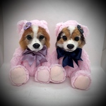 パピヨンさん2体　kentoさま専用ページ　オーダーメイド　ピンクのくまの着ぐるみ猫ちゃん🐱わんちゃん🐶　テディベア　テディキャット　テディドッグ　愛犬　愛猫　