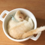 小なべ猫　きなこ