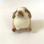 〜むぎゅっと身を乗り出してるうさぎさん〜 うさぎ 羊毛フェルト 壁飾り フレーム 壁掛け ロップイヤー ミニうさぎ ブロークンオレンジ