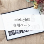 【mickeyb様専用】