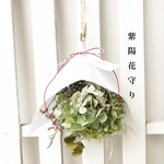 紫陽花守り　スワッグ