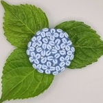 手刺繍ブローチ・ヘアゴム《青い紫陽花...アナベル》×アースブルー  くるみボタン