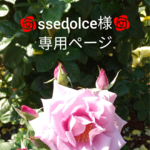 スマホポシェット　ssedolce様専用ページ