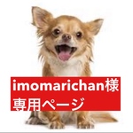 専用ページ