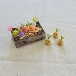箱入り 野菜の妖精セット 