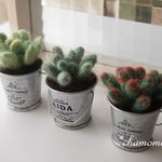 羊毛フェルトの多肉植物ブリキ缶（３個組）