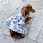 【フリルリボンワンピース】 犬 / 犬服 / ドッグウェア / ペットウェア / ハンドメイド / ワンピース / フリル / トワルドジュイ / ハーネス服