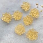 6個 【AC31-a】花パーツ　フラワー　カボション　