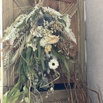 【ドライフラワースワッグ】レモンユーカリのグリーンスワッグ