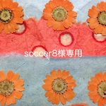soccer8様専用