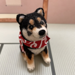 おすわり柴犬🐕(おすまし黒柴)羊毛フェルト