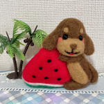 スイカ大好き❤ダックスちゃん🐶🍉✨