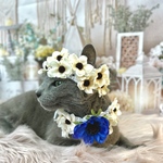 【猫用】レース編み アネモネ花冠&花冠