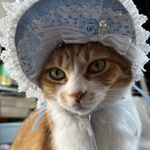 レースたくさんボンネットブルー