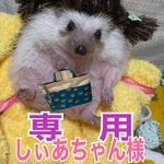 こちらはしぃあちゃん様専用