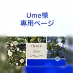 Ume様専用ページ