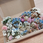 お買い得★自然色ドライフラワー★花材20個セット