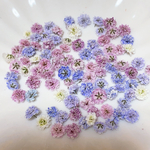 NO.2  かすみ草約100粒