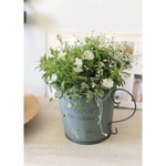  【再販】𓂃𓈒𓏸 Cinderella in Mug Cup Pot 𓈒𓏸𓂃ペチュニア・シンデレラガール 寄せ植え