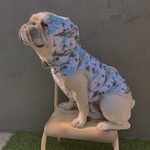 オーダー犬服 接触冷感 ラッシュガードフードタンクトップ アロハ