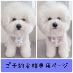クールスタイ◆ご予約者様専用ページ◆ミント◆ラベンダー