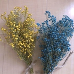 かすみ草スペシャルセット残り1セット