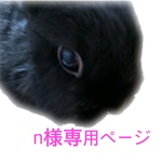 ⚘ ⚘ n様専用ページ ⚘ ⚘ グレーうさぎとお花のストラップ