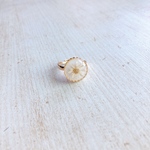 dry flower white mini circle ring/ドライフラワー  レジン
