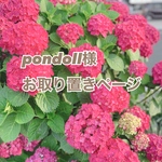 pondoll様お取り置きページ