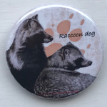 缶バッジ　タヌキ　31mmサイズ