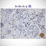 ◆k-m-n-y様 専用ページ◆