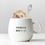 予約者さま専用