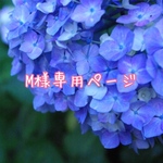 M様専用ページ