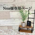 Noa様専用ページ 送料無料