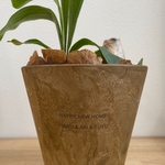 名入れ鉢 ベージュ Φ13 # 観葉植物 # プランター # ギフト