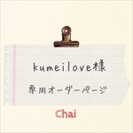 kumeilove様　専用オーダー分 ケース 