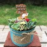 ★送料無料★♡そのまま飾れる♡リメ缶♬多肉植物寄せ植え╰(*´︶`*)╯♡