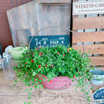現品♡【カリブラコアミックス寄せ植え】ナチュラルガーデニング♡レッド系ブリキ鉢入り♪長く楽しめるお花！