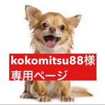 専用ページ