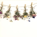 ドライフラワー薔薇&かすみ草花束ガーランド