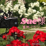 Sae様専用ページ